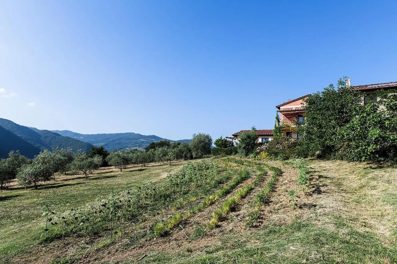 Vakantieboerderij Agriturismo La Fontaccia Rufina