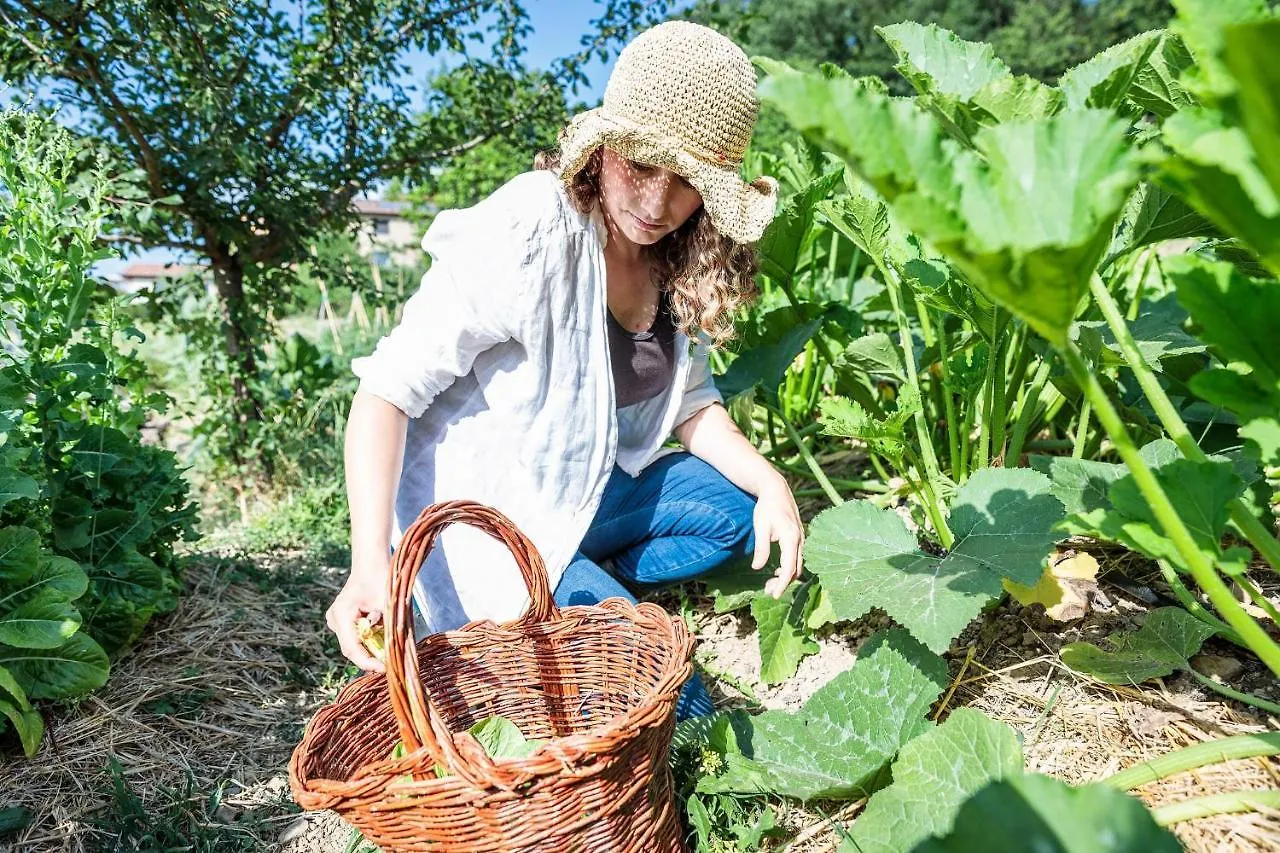 Agriturismo La Fontaccia Rufina