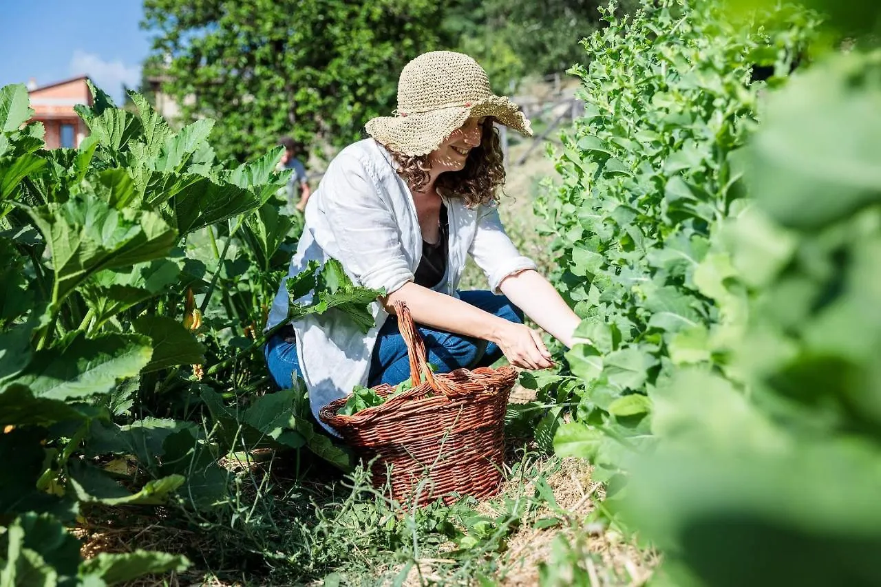 Agriturismo La Fontaccia Rufina Italië