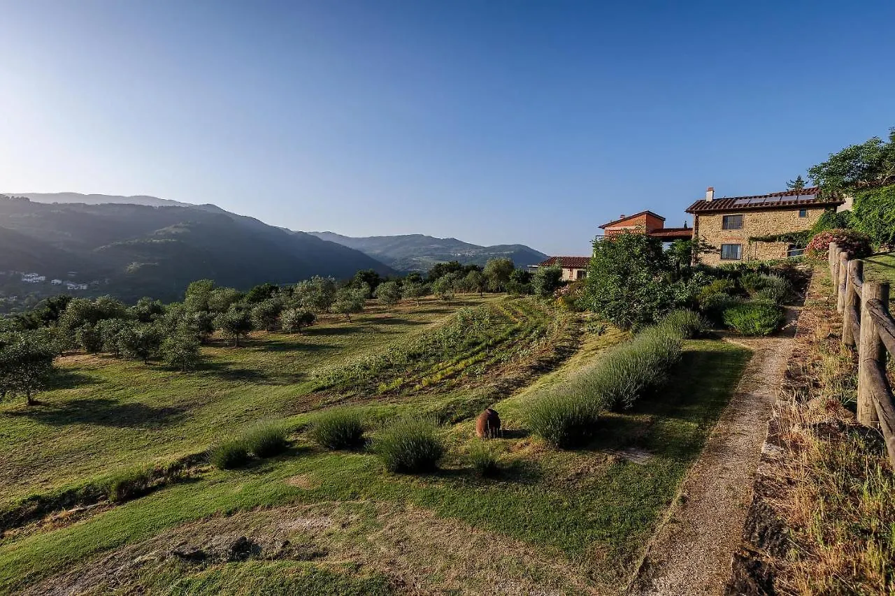 Agriturismo La Fontaccia Rufina 0*,  Italië
